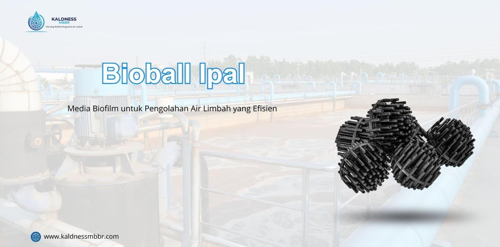 Bioball Ipal
